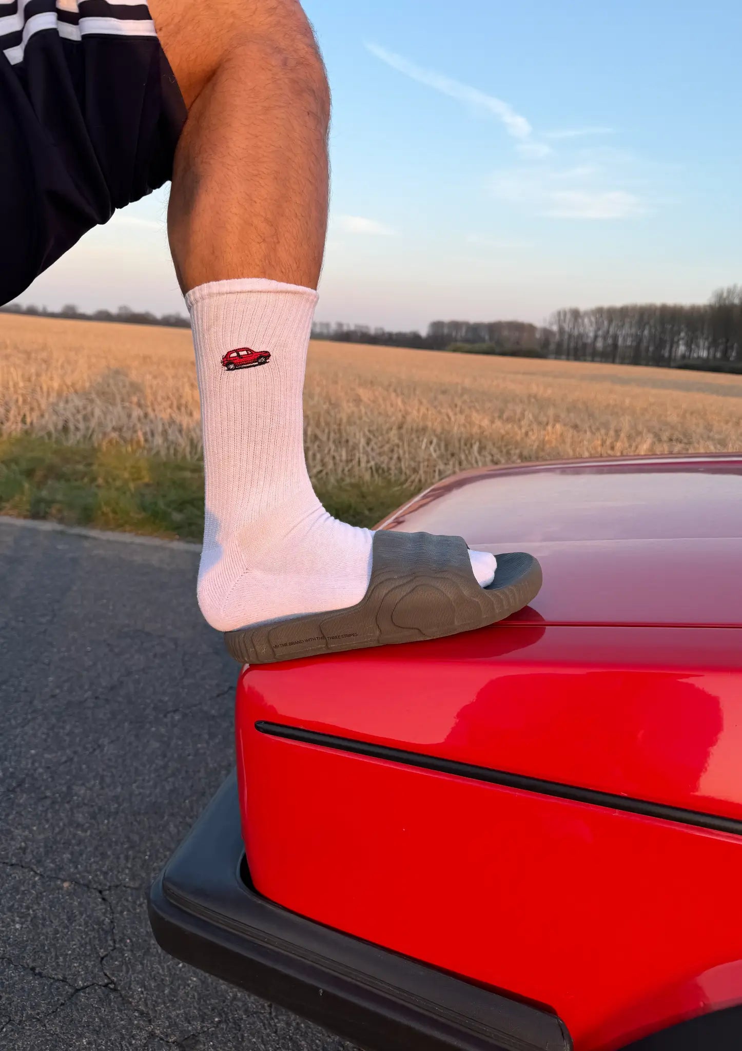 Paul Frege UK Tour Socken